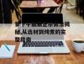 萝卜牛腩最正宗做法揭秘,从选材到炖煮的完整指南