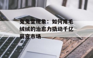 兔兔堂现象：如何用毛绒绒的治愈力撬动千亿萌宠市场