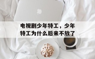 电视剧少年特工，少年特工为什么后来不放了