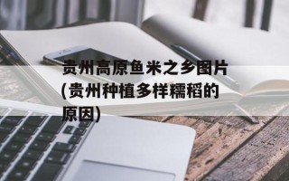 贵州高原鱼米之乡图片(贵州种植多样糯稻的原因)