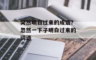 突然明白过来的成语？忽然一下子明白过来的词语