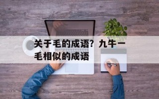 关于毛的成语？九牛一毛相似的成语