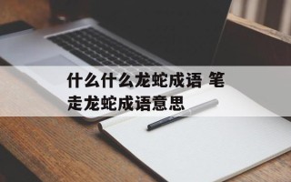 什么什么龙蛇成语 笔走龙蛇成语意思
