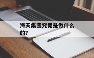 海天集团究竟是做什么的？
