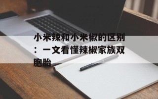 小米辣和小米椒的区别：一文看懂辣椒家族双胞胎