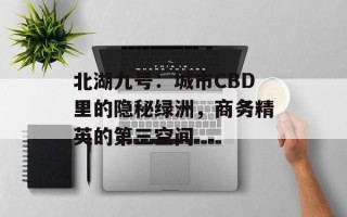 北湖九号：城市CBD里的隐秘绿洲，商务精英的第三空间