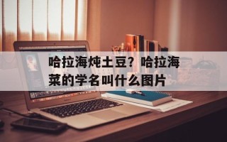 哈拉海炖土豆？哈拉海菜的学名叫什么图片