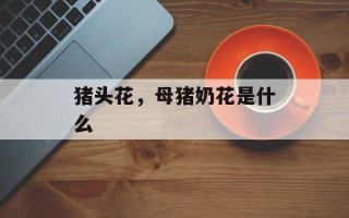 猪头花，母猪奶花是什么