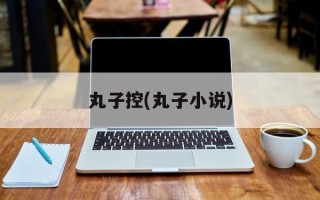 丸子控(丸子小说)