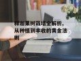 释迦果树栽培全解析,从种植到丰收的黄金法则