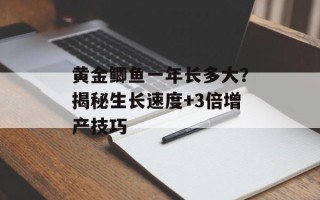 黄金鲫鱼一年长多大？揭秘生长速度+3倍增产技巧