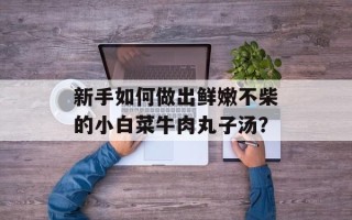 新手如何做出鲜嫩不柴的小白菜牛肉丸子汤？