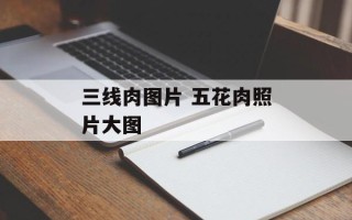 三线肉图片 五花肉照片大图