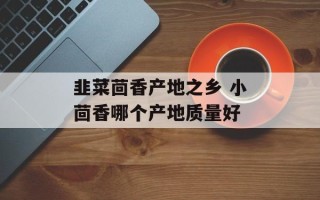 韭菜茴香产地之乡 小茴香哪个产地质量好
