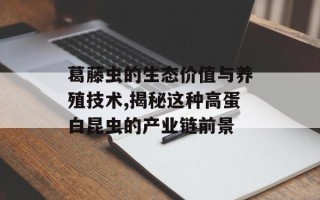 葛藤虫的生态价值与养殖技术,揭秘这种高蛋白昆虫的产业链前景