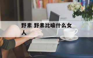 野素 野素比喻什么女人
