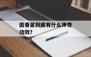 茴香苗到底有什么神奇功效？