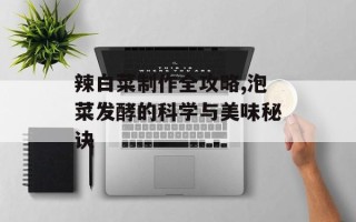 辣白菜制作全攻略,泡菜发酵的科学与美味秘诀