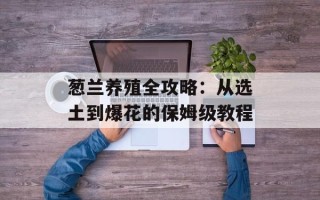 葱兰养殖全攻略：从选土到爆花的保姆级教程