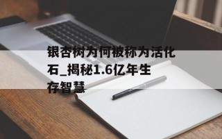 银杏树为何被称为活化石_揭秘1.6亿年生存智慧