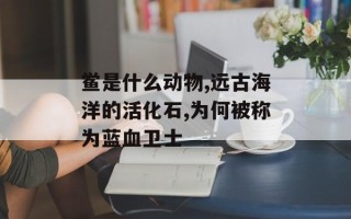 鲎是什么动物,远古海洋的活化石,为何被称为蓝血卫士