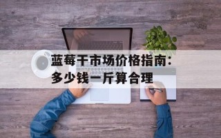 蓝莓干市场价格指南：多少钱一斤算合理
