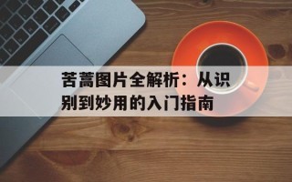 苦蒿图片全解析：从识别到妙用的入门指南