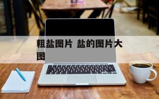 粗盐图片 盐的图片大图