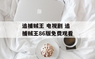 追捕贼王 电视剧 追捕贼王86版免费观看