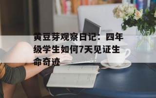 黄豆芽观察日记：四年级学生如何7天见证生命奇迹