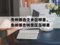 贵州银杏之乡在哪里，贵州银杏树景区在哪里