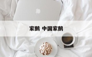 家鹅 中国家鹅