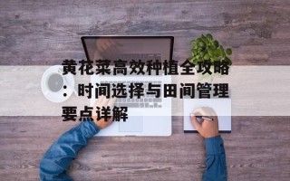 黄花菜高效种植全攻略：时间选择与田间管理要点详解