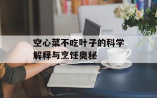空心菜不吃叶子的科学解释与烹饪奥秘