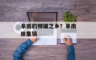 阜南的柳编之乡？阜南田集镇