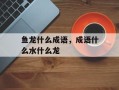 鱼龙什么成语，成语什么水什么龙