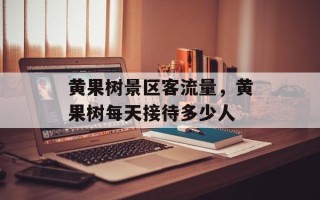 黄果树景区客流量，黄果树每天接待多少人