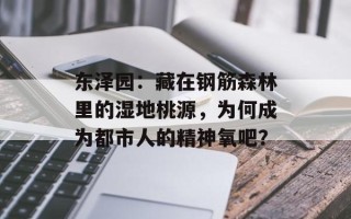 东泽园：藏在钢筋森林里的湿地桃源，为何成为都市人的精神氧吧？