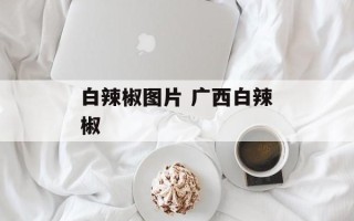白辣椒图片 广西白辣椒