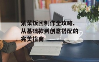 紫菜饭团制作全攻略,从基础款到创意搭配的完美指南