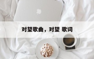 对望歌曲，对望 歌词
