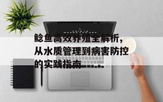 鲶鱼高效养殖全解析,从水质管理到病害防控的实践指南