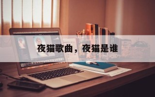 夜猫歌曲，夜猫是谁