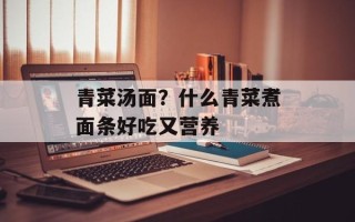 青菜汤面？什么青菜煮面条好吃又营养