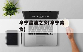 阜宁酱油之乡(阜宁美食)