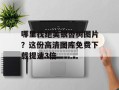 哪里找绝美银杏树图片？这份高清图库免费下载提速3倍
