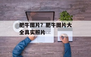 肥牛图片？肥牛图片大全真实照片