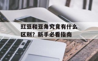 豇豆和豆角究竟有什么区别？新手必看指南