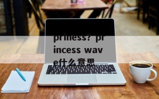 priness？princess wave什么意思