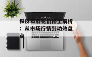 铁皮石斛花价格全解析：从市场行情到功效盘点